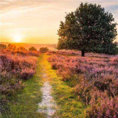 Q版泡泡堂7无敌版